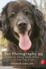 Image for Pet Photography 101: Tips for taking better photos of your dog or cat
