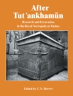 Image for After Tutankhamun
