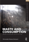 Image for Waste and Consumption: Capitalism, the Environment, and the Life of Things