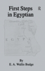 Image for First Steps In Egyptian