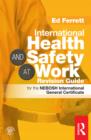 Image for International health and safety at work revision guide: for the NEBOSH International General Certificate