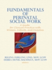 Image for Fundamentals of perinatal social work: a guide for clinical practice with women, infants, and families