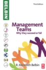 Image for Management teams: why they succeed or fail