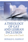 Image for A theology of gay and lesbian inclusion: love letters to the church