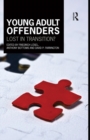 Image for Young adult offenders: lost in transition? : 8