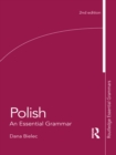 Image for Polish: an essential grammar