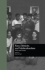 Image for Race, Ethnicity, and Multiculturalism: Policy and Practice