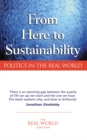 Image for From here to sustainability: politics in the real world