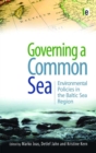 Image for Governing a common sea: environmental policies in the Baltic Sea Region