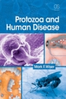 Image for Protozoa and human disease