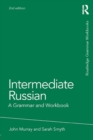 Image for Intermediate Russian: a grammar and workbook