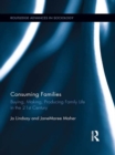 Image for Consuming Families: Buying and Making Family Life in the Twenty-First Century