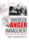 Image for Handbook of anger management: individual, couple, family, and group approaches