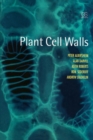 Image for Plant cell walls: from chemistry to biology