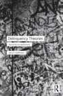 Image for Delinquency Theories: Appraisals and Applications