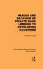 Image for Images and behaviour of private bank lending to developing countries