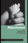 Image for Attachment: expanding the cultural connections
