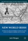 Image for New World Irish: notes on one hundred years of lives and letters in American culture