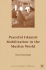 Image for Peaceful Islamist mobilization in the Muslim world: what went right