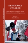 Image for Democracy at large: NGOs, political foundations, think tanks, and international organizations