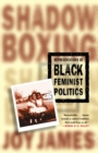 Image for Shadowboxing: Representations of Black Feminist Politics