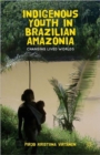 Image for Indigenous youth in Brazilian Amazonia  : changing lived worlds