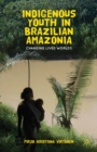 Image for Indigenous youth in Brazilian Amazonia: changing lived worlds