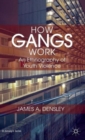 Image for How gangs work  : an ethnography of youth violence