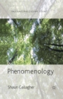 Image for Phenomenology