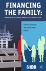 Image for Financing the family: remittances to Central America in a time of crisis
