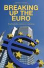 Image for Breaking up the euro  : the end of a common currency