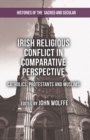 Image for Irish religious conflict in comparative perspective: Catholics, Protestants and Muslims