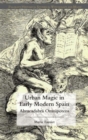 Image for Urban magic in early modern Spain  : abracadabra omnipotens
