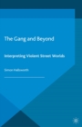Image for The gang and beyond: interpreting violent street worlds