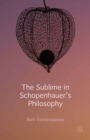 Image for The sublime in Schopenhauer&#39;s philosophy