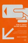 Image for Public credit rating agencies: increasing capital investment and lending stability in volatile markets