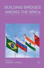Image for Building bridges among the BRICs