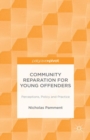 Image for Community reparation for young offenders  : perceptions, policy and practice