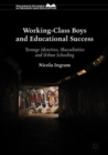 Image for Working-class boys and educational success: teenage identities, masculinities and urban schooling