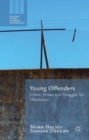 Image for Young offenders  : crime, prison, and struggles for desistance