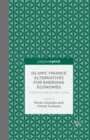 Image for Islamic finance alternatives for emerging economies: empirical evidence from Turkey
