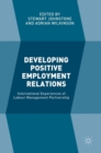 Image for Developing positive employment relations  : international experiences of labour management partnership