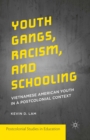 Image for Youth Gangs, Racism, and Schooling: Vietnamese American Youth in a Postcolonial Context