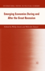 Image for Emerging economies during and after the great recession