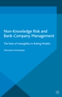 Image for Non-knowledge Risk and Bank-company Management: The Role of Intangibles in Rating Models