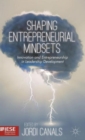 Image for Shaping entrepreneurial mindsets  : innovation and entrepreneurship in leadership development