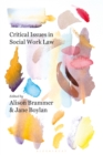 Image for Critical issues in social work law