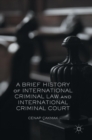 Image for A brief history of international criminal law and international criminal court