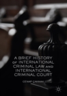 Image for A brief history of international criminal law and international criminal court