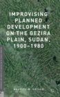 Image for Improvising planned development on the Gezira Plain, Sudan, 1900-1980